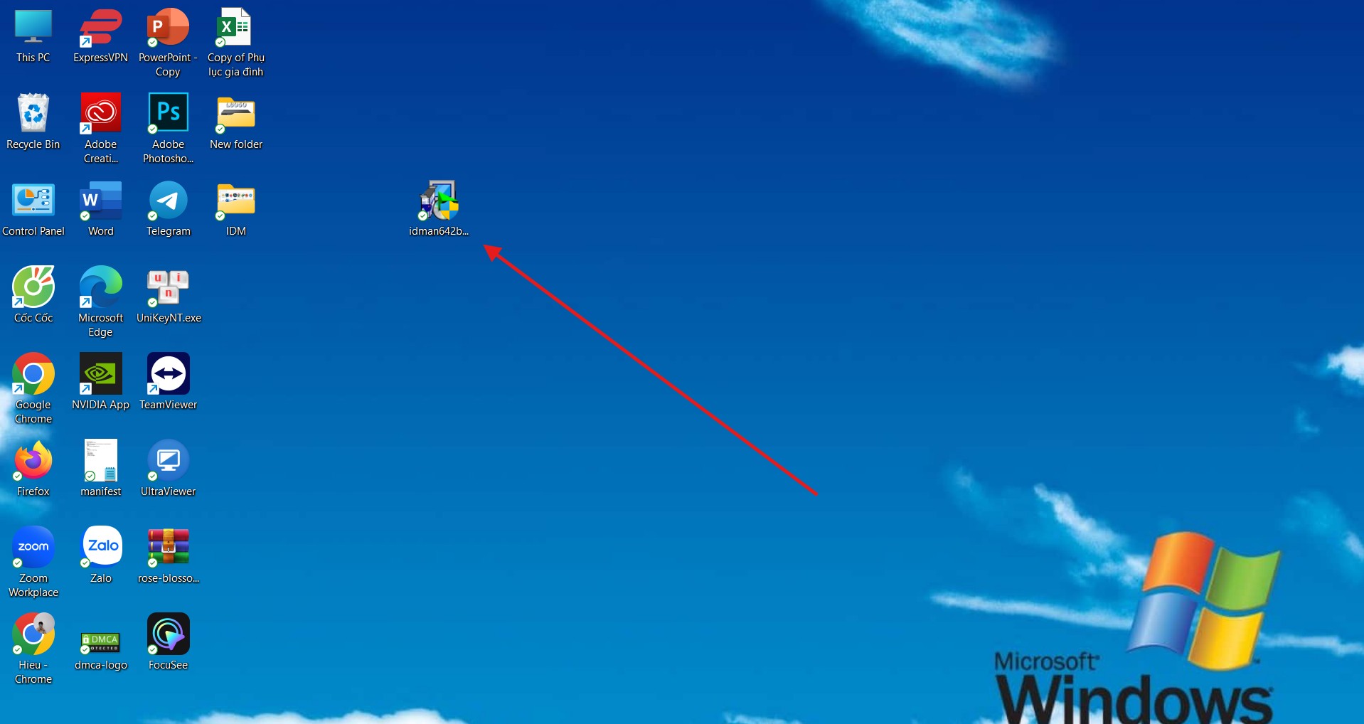 Internet Download Manager (IDM) screenshot 1